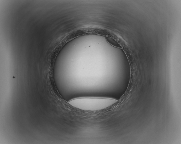 X0000112080965200908041007