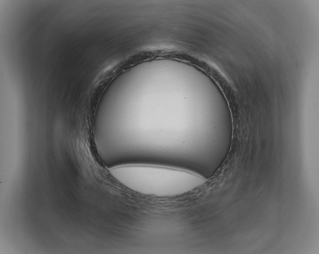 X0000112080967200908041007