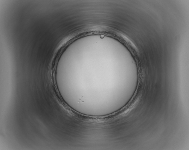 X0000112080970200908041007