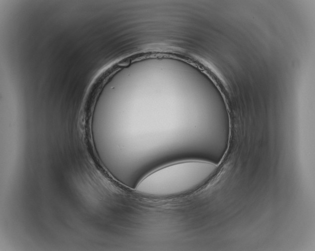 X0000112080971200908041007