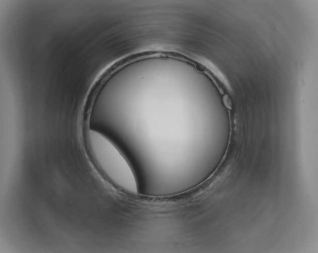 X0000112080972200908041007