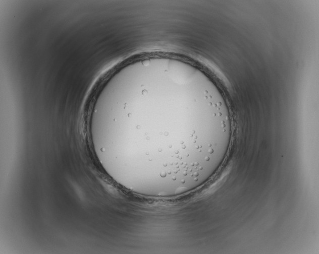 X0000112080974200908041007