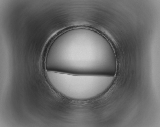 X0000112080975200908041007