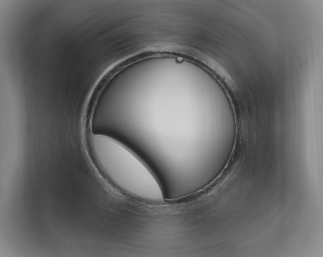 X0000112080976200908041007