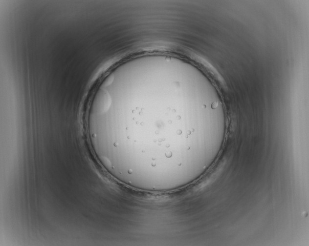 X0000112080978200908041007