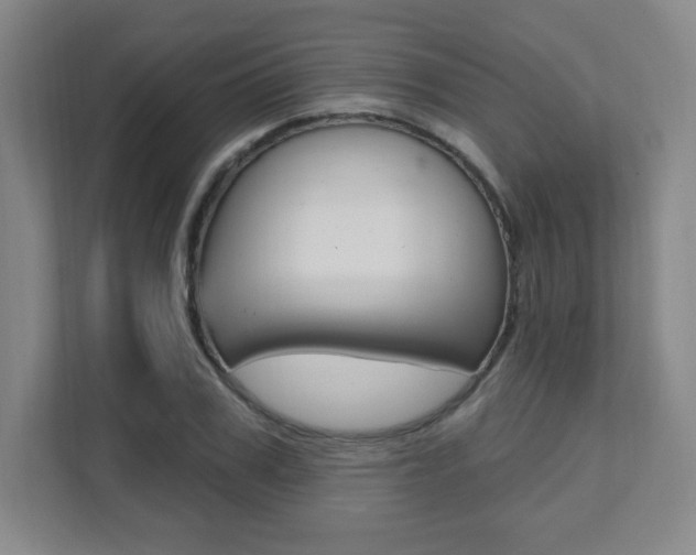 X0000112080979200908041007