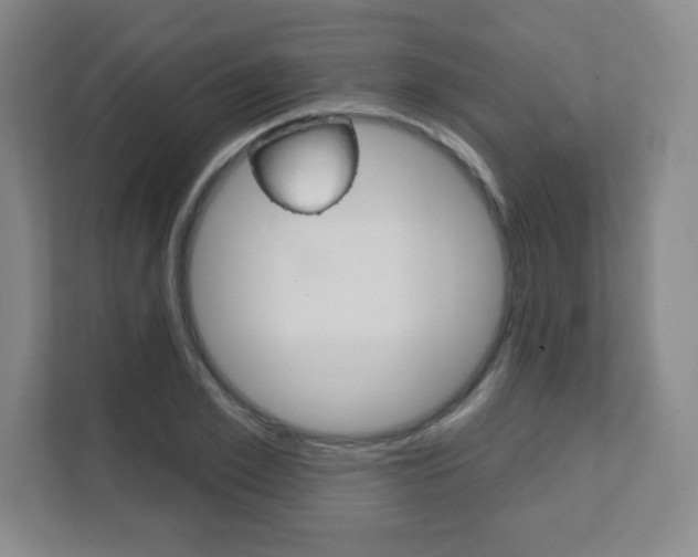 X0000112080981200908041007