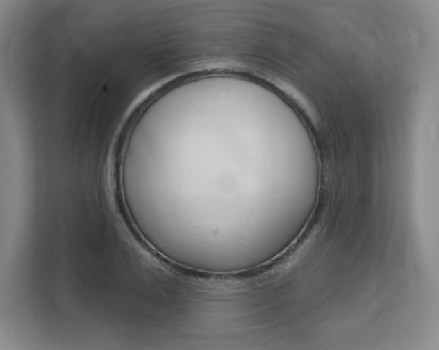 X0000112080983200908041007