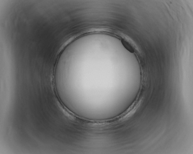 X0000112080985200908041007