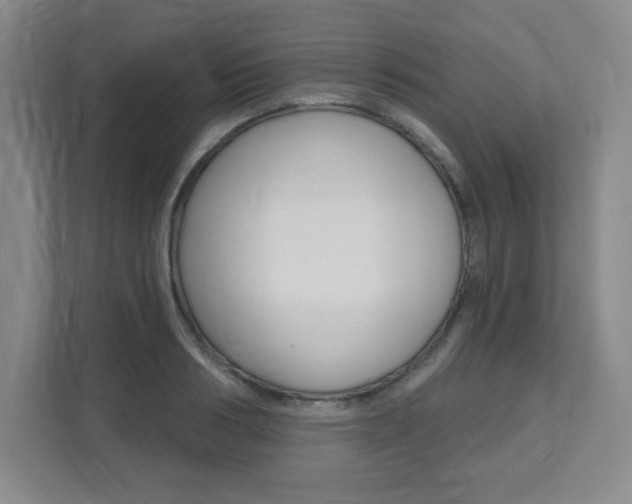 X0000112080986200908041007