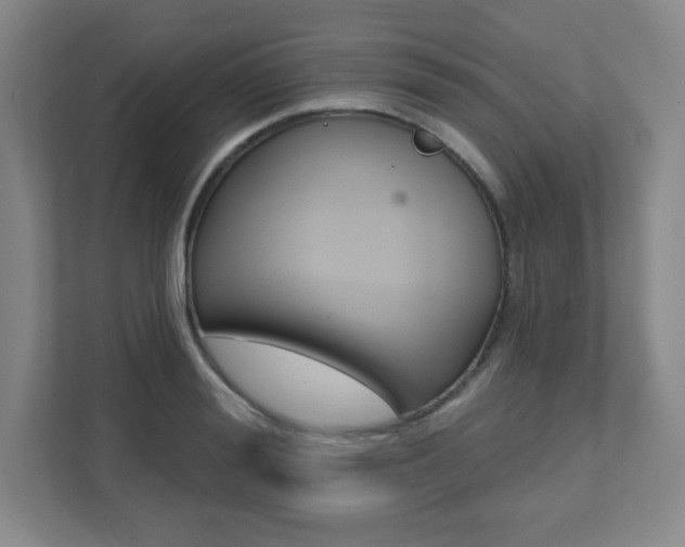 X0000112080988200908041007