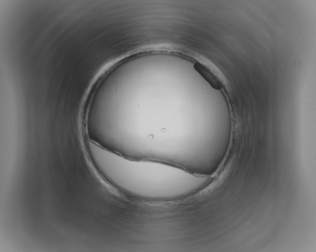 X0000112080989200908041007