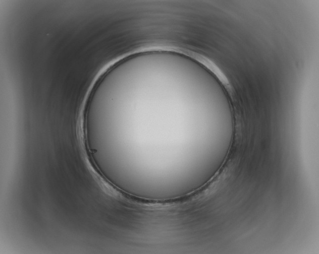 X0000112080996200908041007