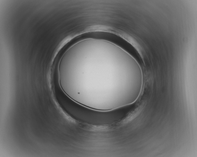X0000112080997200908041007