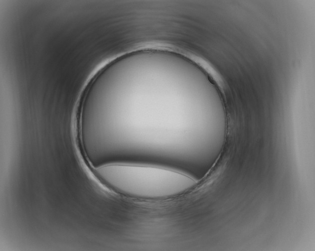 X0000112080999200908041007