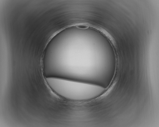 X0000112081001200908041007