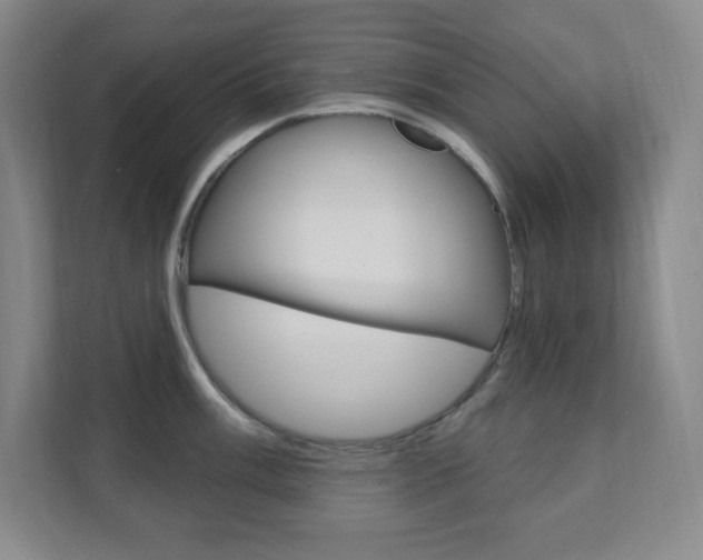 X0000112081003200908041007