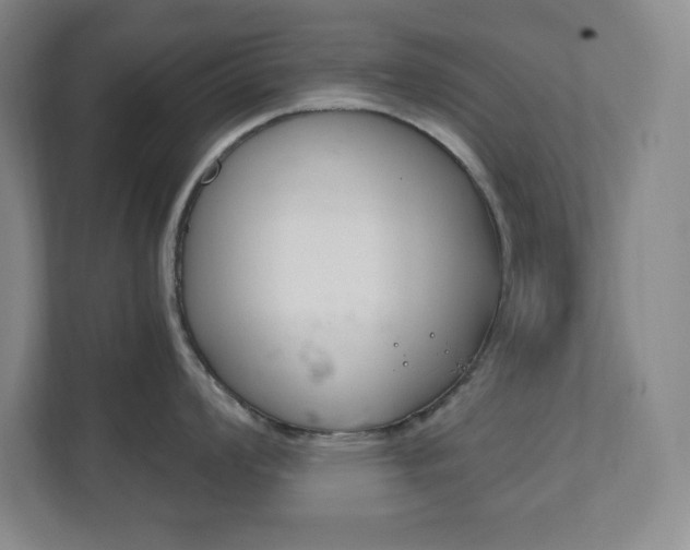 X0000112081008200908041007