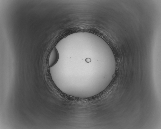 X0000112081009200908041006