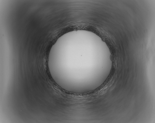 X0000112081010200908041006