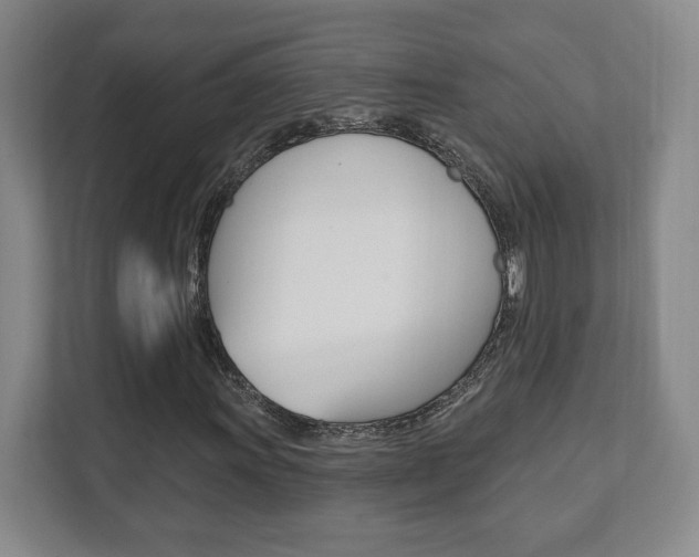 X0000112081011200908041006