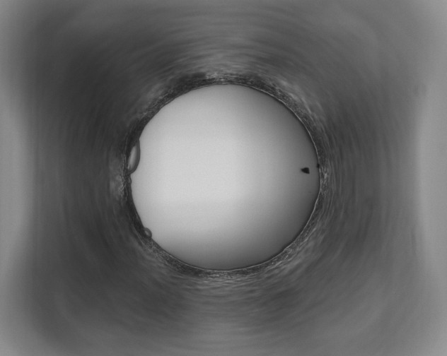 X0000112081012200908041006