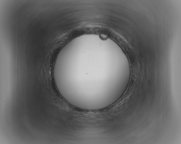 X0000112081013200908041006