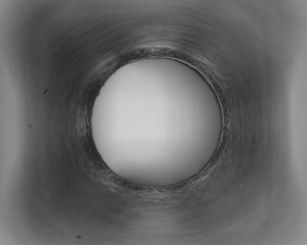 X0000112081014200908041006