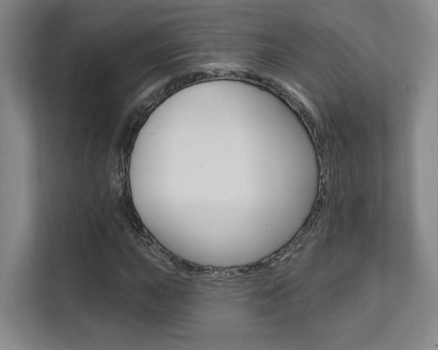 X0000112081015200908041006