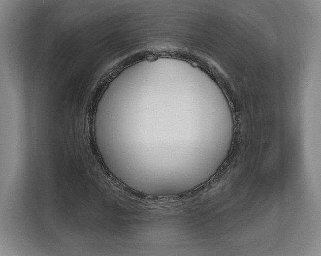X0000112081016200908041006
