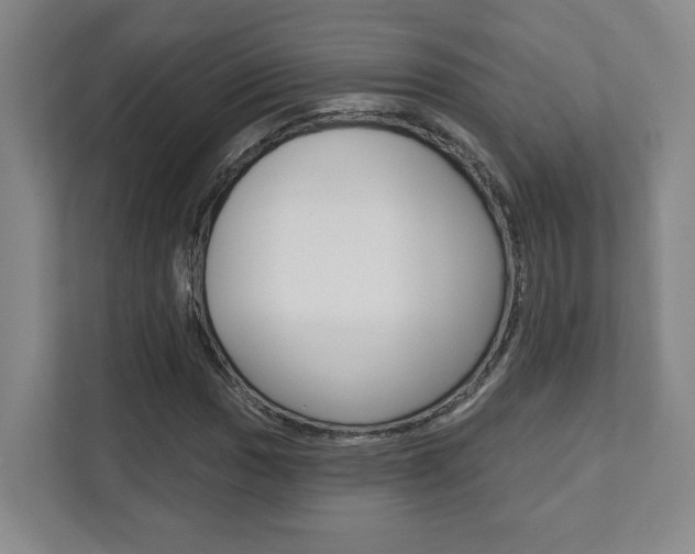 X0000112081017200908041006