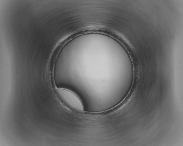 X0000112081018200908041006