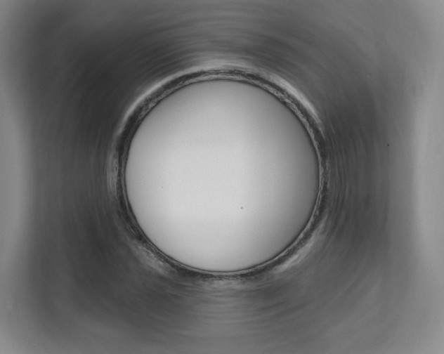 X0000112081021200908041006