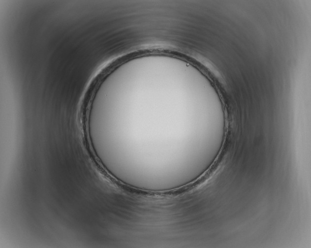 X0000112081022200908041006