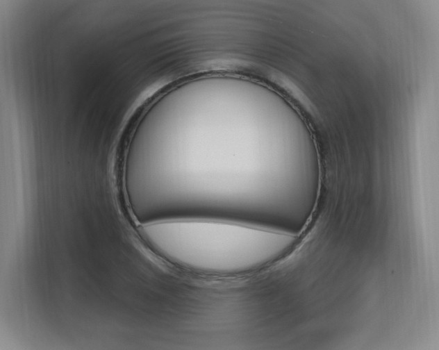 X0000112081026200908041006