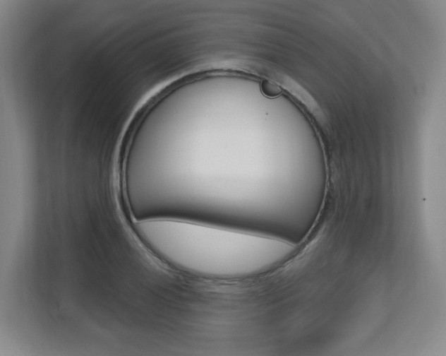 X0000112081028200908041006