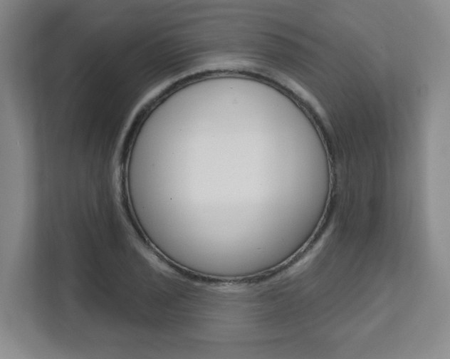 X0000112081029200908041006