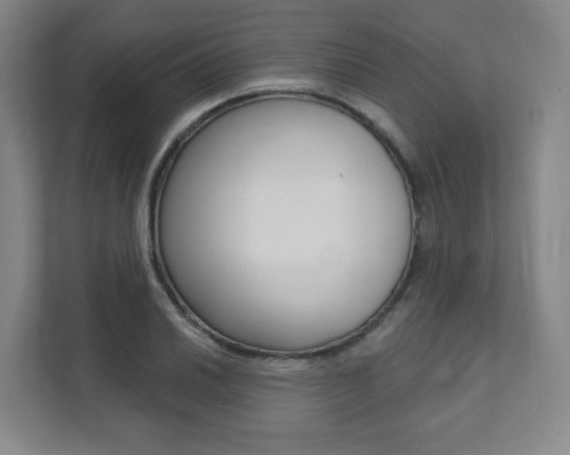 X0000112081030200908041006