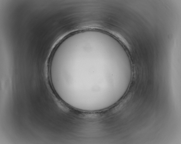 X0000112081031200908041006