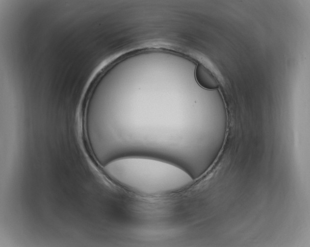 X0000112081032200908041006
