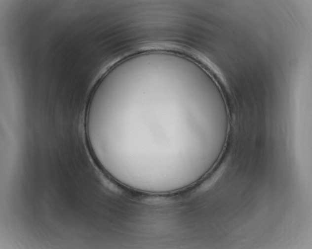 X0000112081033200908041006