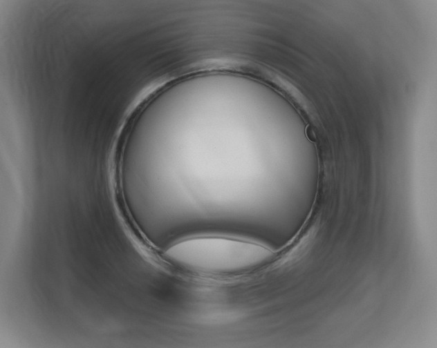 X0000112081034200908041006