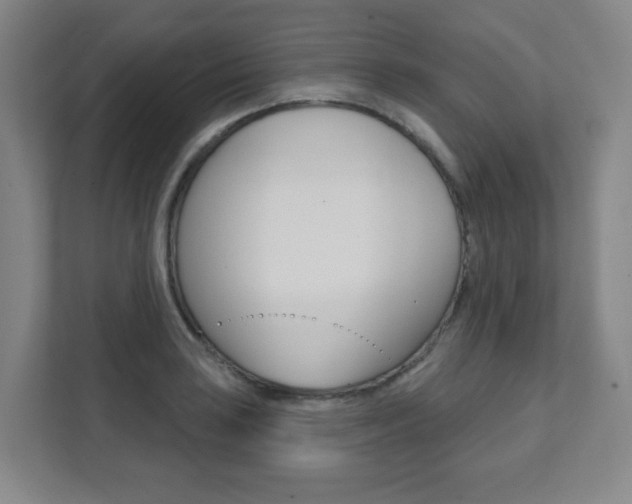 X0000112081035200908041006