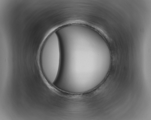 X0000112081038200908041006