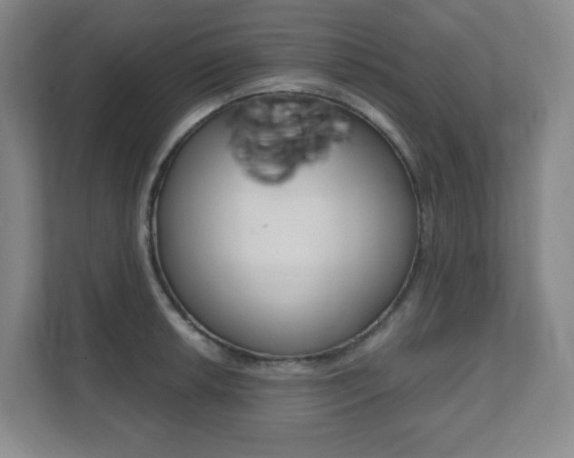 X0000112081042200908041006