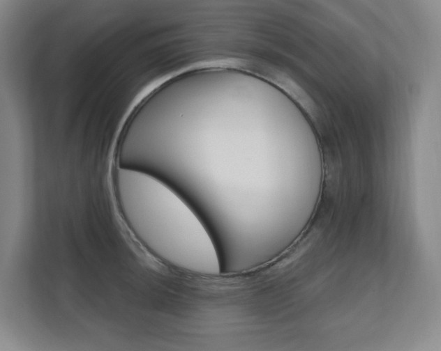 X0000112081044200908041006