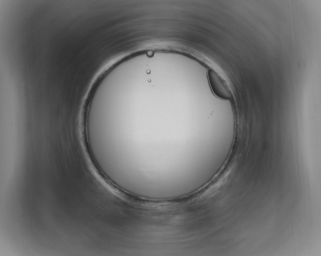 X0000112081045200908041006