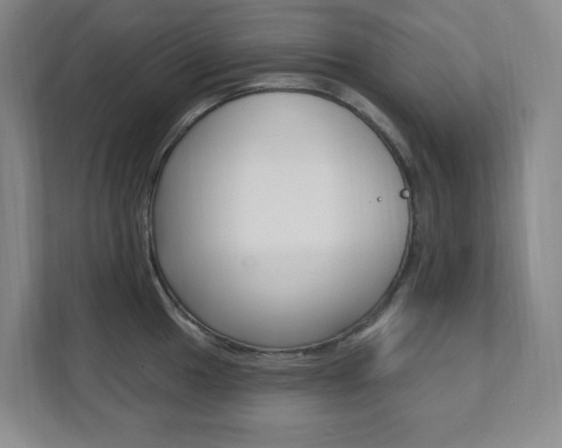 X0000112081049200908041007