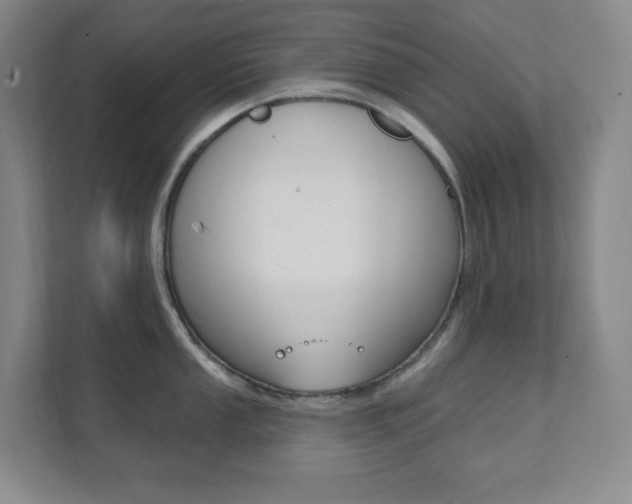 X0000112081053200908041007