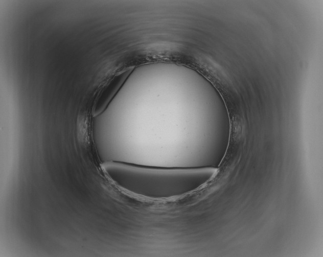 X0000112081060200908041006